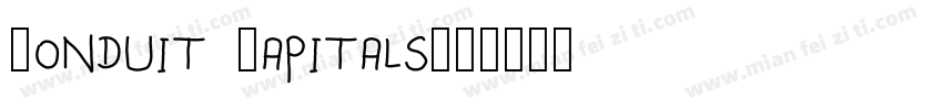 Ronduit Capitals字体转换